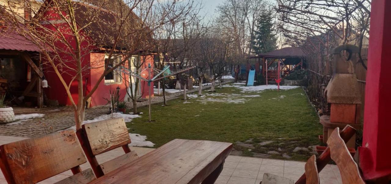 Rîşnov Casa Terzea酒店 外观 照片